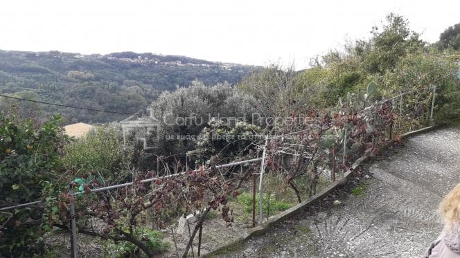 Μονοκατοικία στην Άγιος Γεώργιος, Κέρκυρα — Φωτογραφία 16 από 24