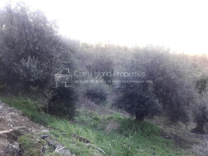 Building Plot in Αgios Georgios, Corfu — Photo 8 of 11