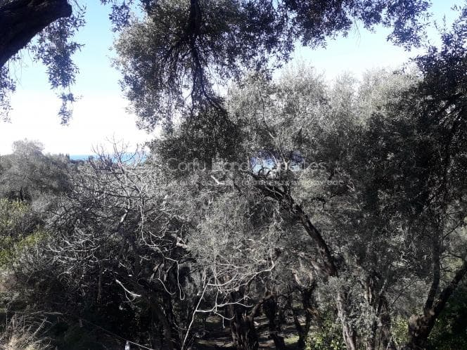 Building Plot in Kassiopi, Corfu — Photo 9 of 13