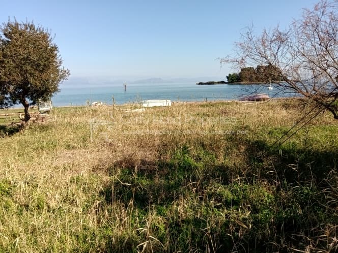 Building Plot in Achilleio, Corfu — Photo 13 of 30