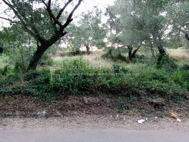 Building Plot in Pareli, Corfu — Photo 7 of 11