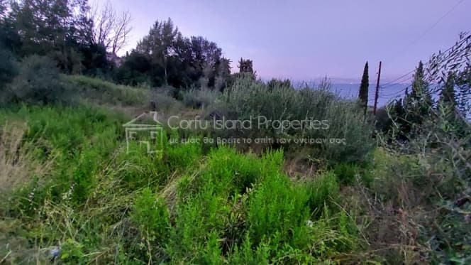 Building Plot in Achilleio, Corfu — Photo 5 of 23