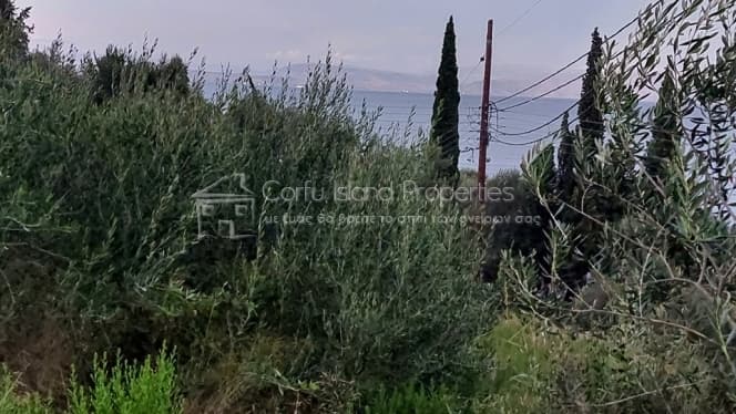 Building Plot in Achilleio, Corfu — Photo 6 of 23