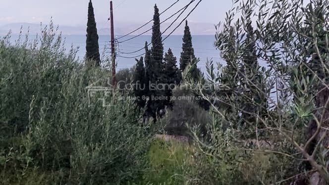 Building Plot in Achilleio, Corfu — Photo 8 of 23
