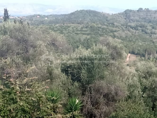 Building Plot in Pareli, Corfu — Photo 24 of 30