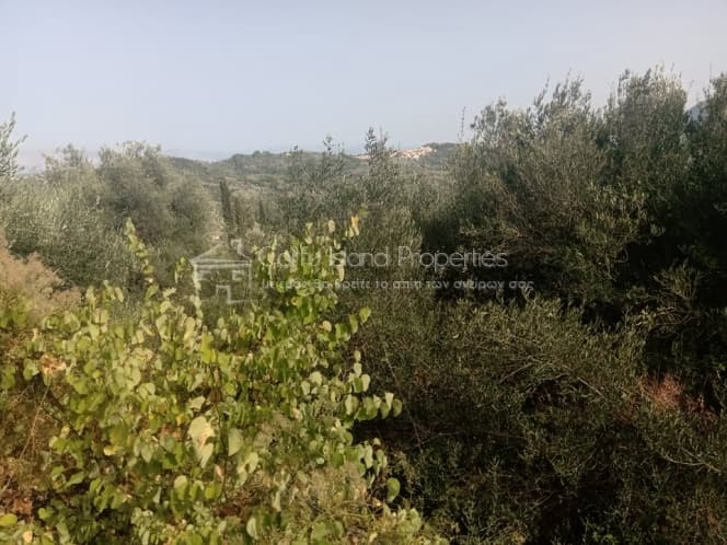 Building Plot in Pareli, Corfu — Photo 20 of 30