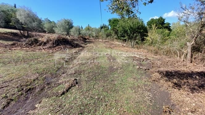 Building Plot in Pareli, Corfu — Photo 17 of 22