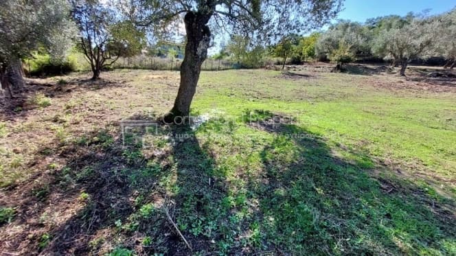 Building Plot in Pareli, Corfu — Photo 15 of 22