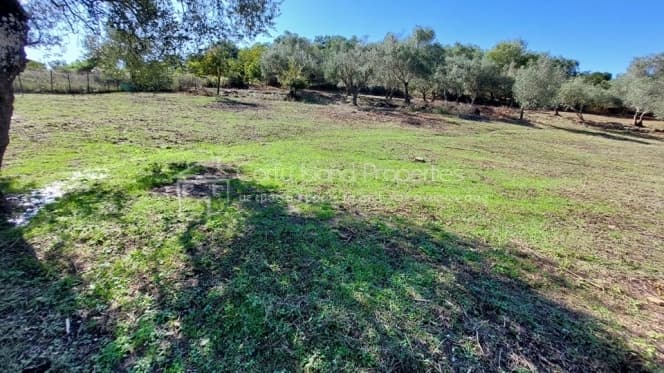 Building Plot in Pareli, Corfu — Photo 3 of 22