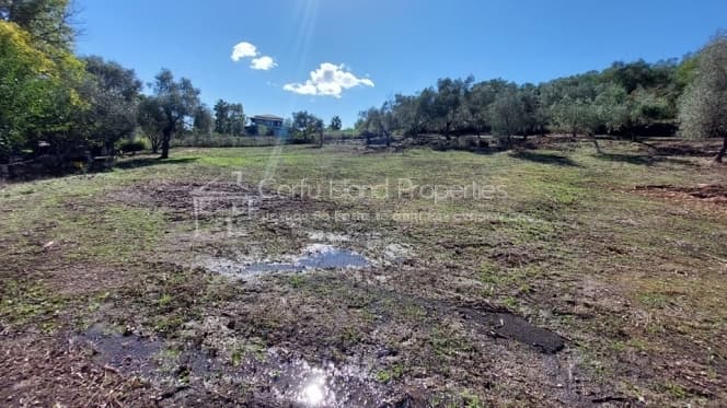 Building Plot in Pareli, Corfu — Photo 9 of 22