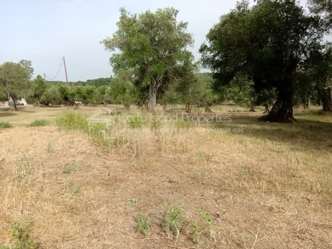 Building Plot in Pareli, Corfu — Photo 2 of 14