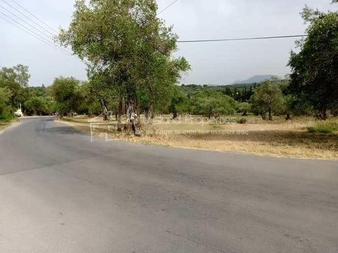 Building Plot in Pareli, Corfu — Photo 11 of 14