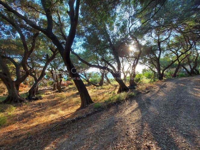 Building Plot in Melitieoi, Corfu — Photo 6 of 9