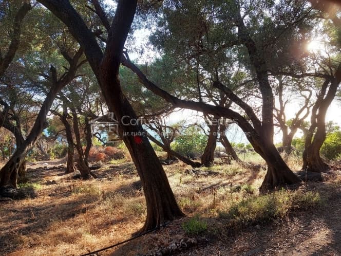 Building Plot in Melitieoi, Corfu — Photo 2 of 9