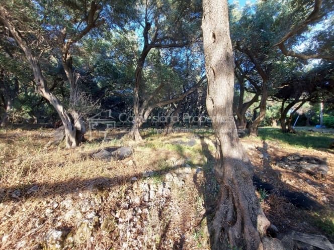 Building Plot in Melitieoi, Corfu — Photo 9 of 9