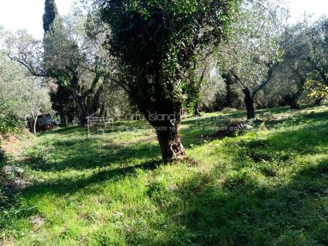 Building Plot in Kassiopi, Corfu — Photo 9 of 16
