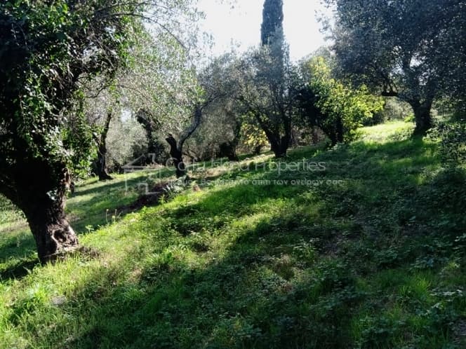 Building Plot in Kassiopi, Corfu — Photo 8 of 16
