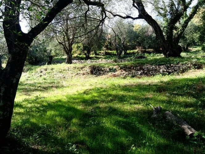 Building Plot in Kassiopi, Corfu — Photo 7 of 16