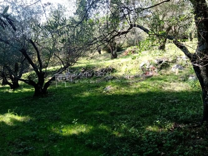 Building Plot in Kassiopi, Corfu — Photo 6 of 16