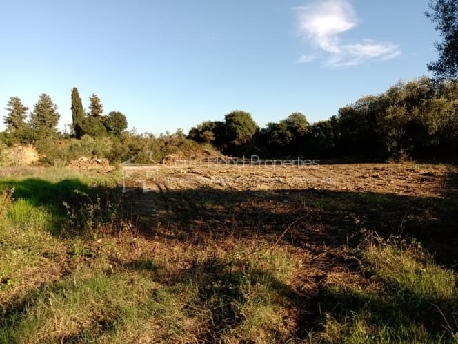 Building Plot in Achilleio, Corfu — Photo 5 of 12