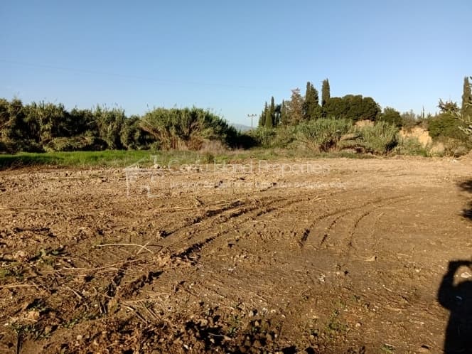 Building Plot in Achilleio, Corfu — Photo 1 of 12