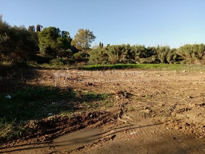 Building Plot in Achilleio, Corfu — Photo 2 of 12