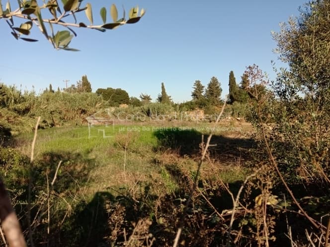 Building Plot in Achilleio, Corfu — Photo 7 of 12