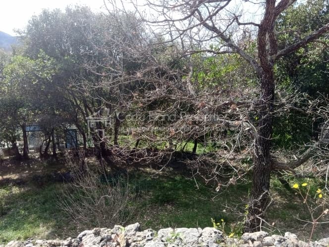 Building Plot in Achilleio, Corfu — Photo 6 of 30