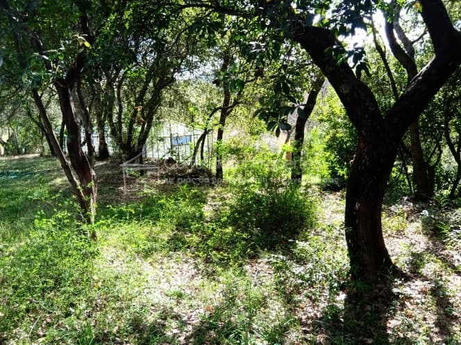 Building Plot in Achilleio, Corfu — Photo 30 of 30
