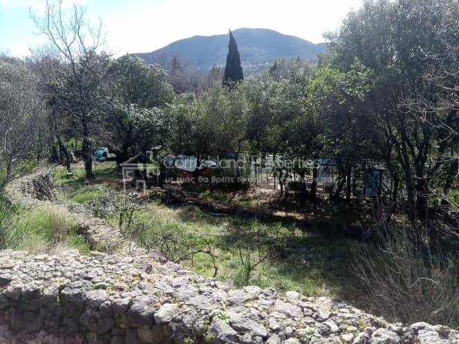 Building Plot in Achilleio, Corfu — Photo 7 of 30