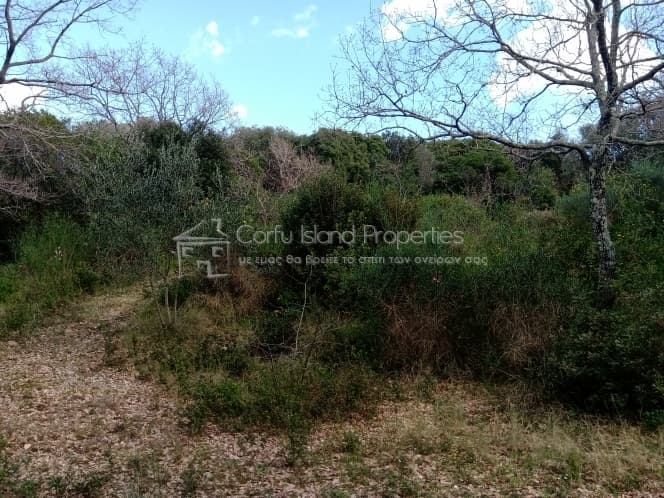 Building Plot in Achilleio, Corfu — Photo 18 of 30
