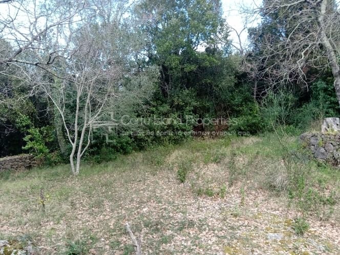 Building Plot in Achilleio, Corfu — Photo 11 of 30