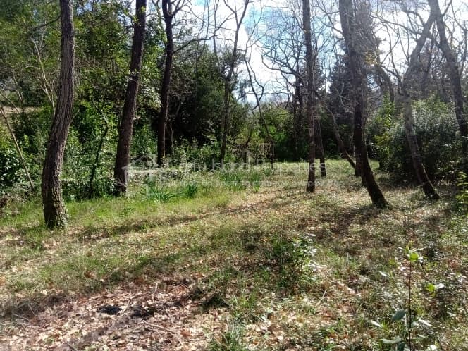 Building Plot in Achilleio, Corfu — Photo 25 of 30