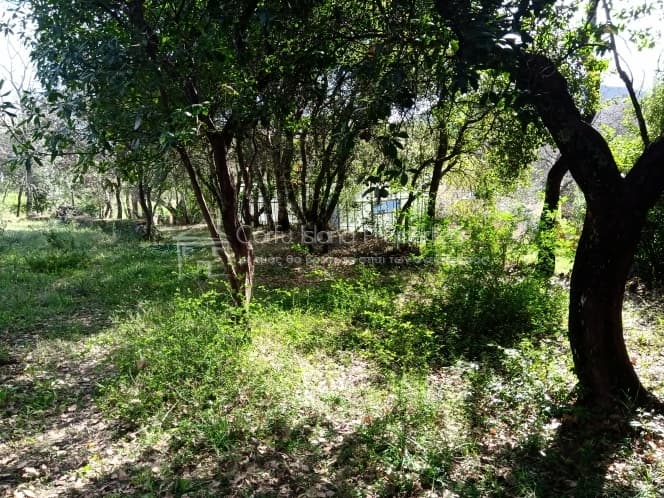 Building Plot in Achilleio, Corfu — Photo 29 of 30