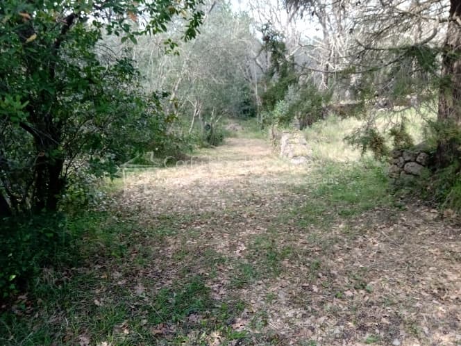 Building Plot in Achilleio, Corfu — Photo 19 of 30