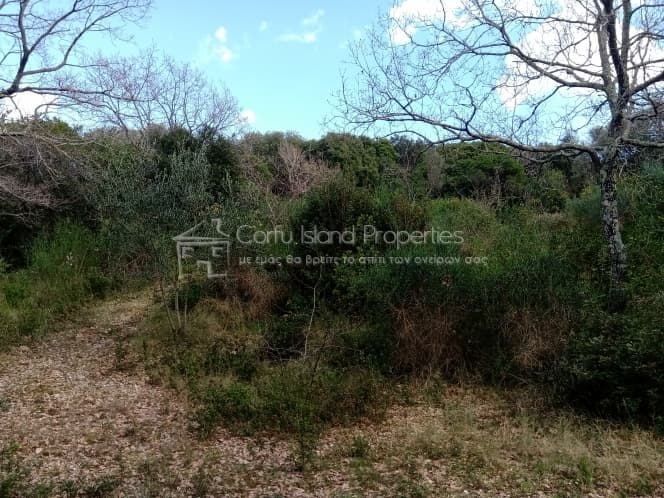 Building Plot in Achilleio, Corfu — Photo 17 of 30