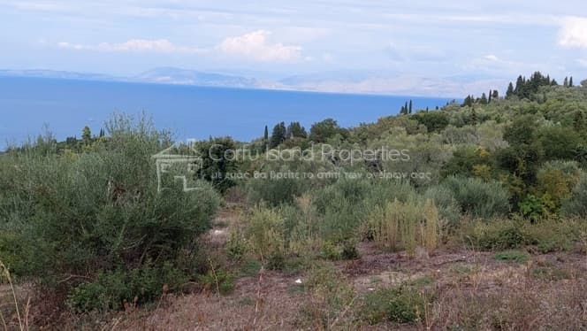 Building Plot in Melitieoi, Corfu — Photo 6 of 24