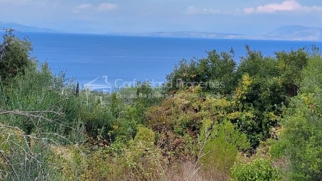 Building Plot in Melitieoi, Corfu — Photo 3 of 24
