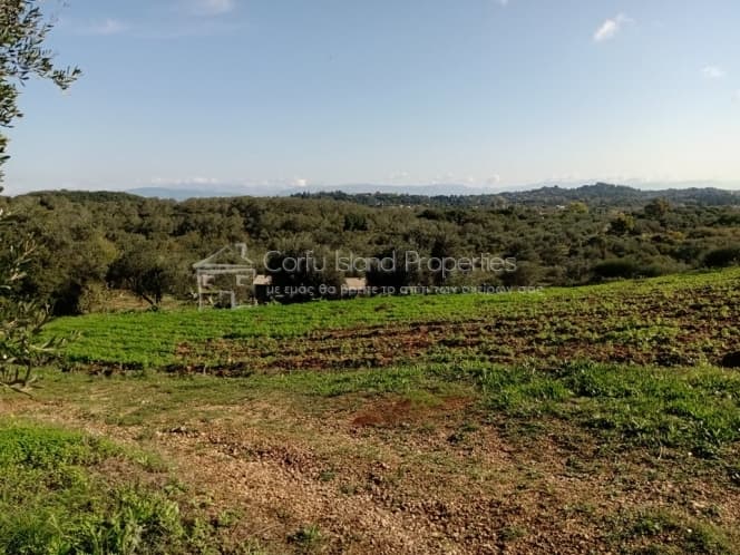 Building Plot in Pareli, Corfu — Photo 19 of 24