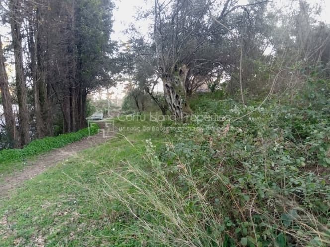 Building Plot in Pareli, Corfu — Photo 9 of 14