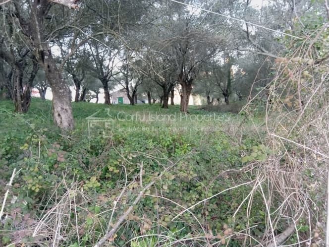 Building Plot in Pareli, Corfu — Photo 10 of 14