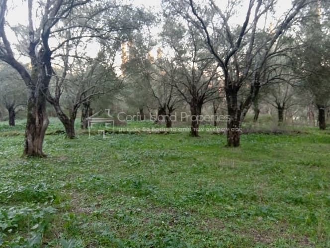 Building Plot in Pareli, Corfu — Photo 1 of 14