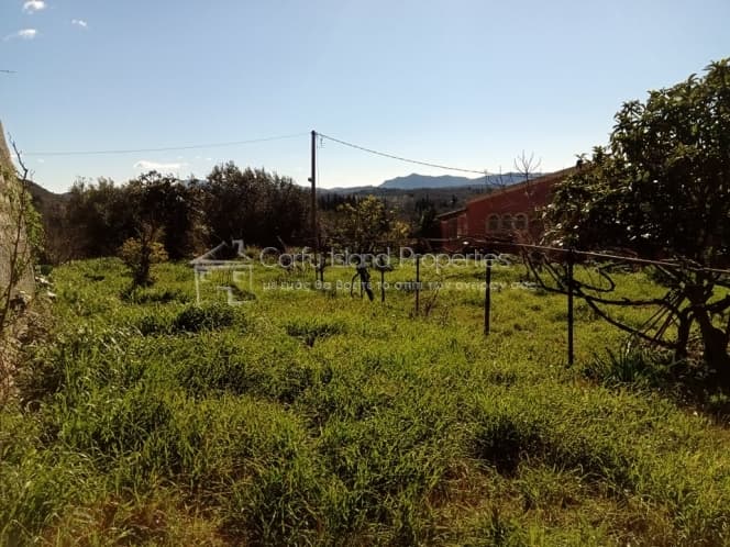 Building Plot in Faiakes, Corfu — Photo 5 of 14