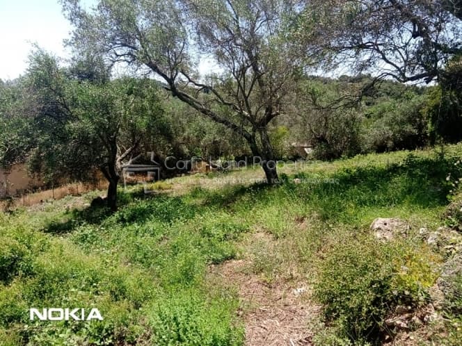 Building Plot in Pareli, Corfu — Photo 3 of 15