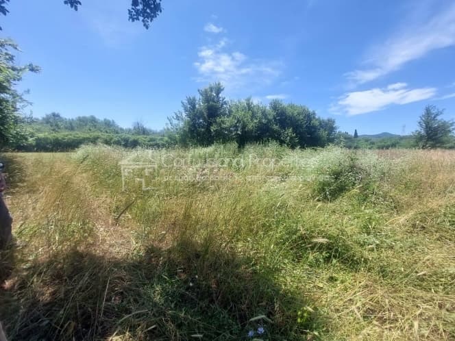 Parcel in Pareli, Corfu — Photo 10 of 17