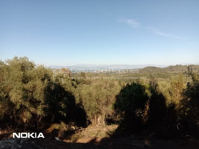 Οικόπεδο στην Παρέλι, Κέρκυρα — Φωτογραφία 21 από 30