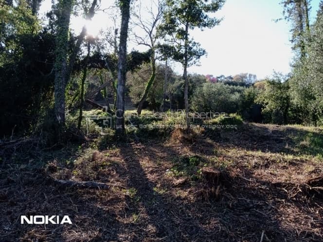 Οικόπεδο στην Παρέλι, Κέρκυρα — Φωτογραφία 15 από 30