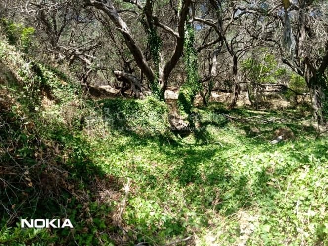 Οικόπεδο στην Αχίλλειο, Κέρκυρα — Φωτογραφία 12 από 13