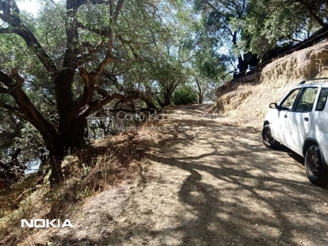 Οικόπεδο στην Αχίλλειο, Κέρκυρα — Φωτογραφία 8 από 13