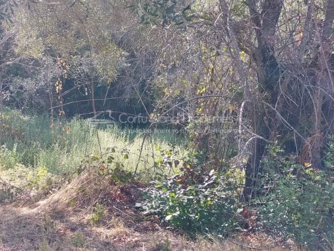 Οικόπεδο στην Μελιτειέοι, Κέρκυρα — Φωτογραφία 15 από 22